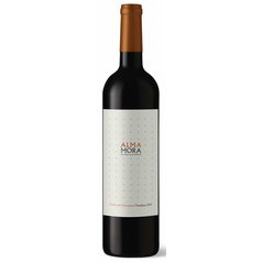 Alma Mora cabernet sauvignon vino argentina.jpg