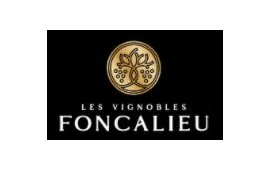 Les Vignobles Foncalieu_shop-vino.JPG