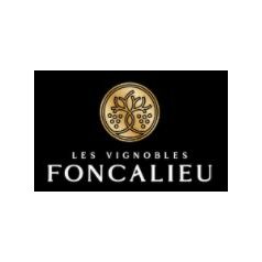 Les Vignobles Foncalieu_shop-vino.JPG