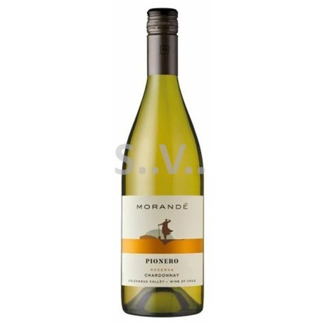 Vina Morande Pionero Reserva Chardonnay_shop-vino.JPG
