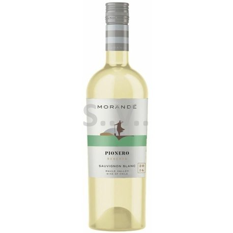 vina morande Pionero Sauvignon Blanc_shop-vino.JPG