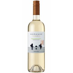 vina morande Sauvignon Blanc Reserva_shop-vino.JPG