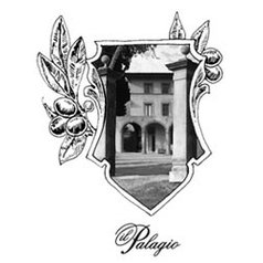 tennuta il palagio_logo.jpg