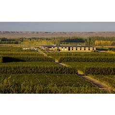 winery_argentina_1_small.jpg